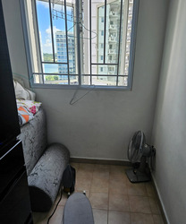 The Tropica (D18), Condominium #557527901